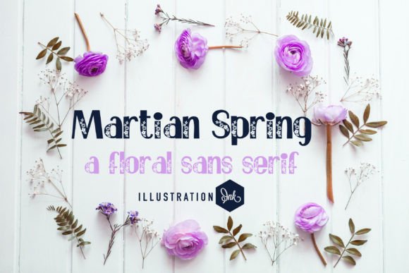 Martian Spring Font for Business Branding
