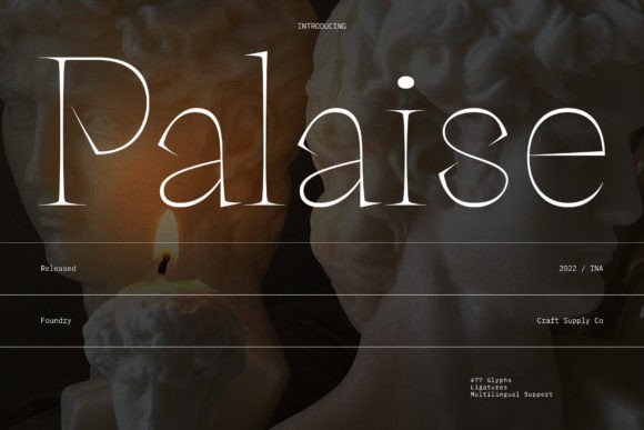 Palaise Font: Charismatic Serif for Impactful Design