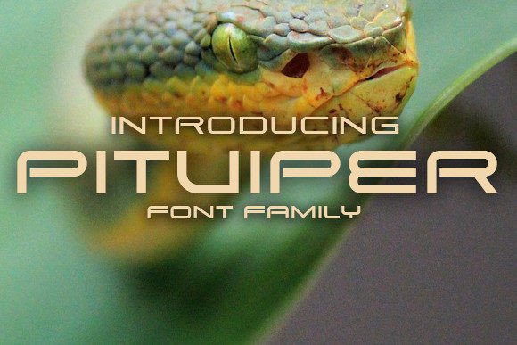 Pitviper Font: Bold and Daring